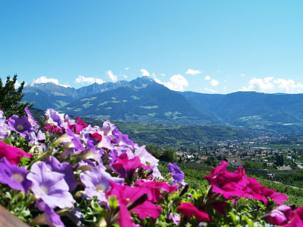 Pension Alpenblick Лагундо Экстерьер фото
